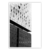 Schwarz Weiß Elbphilharmonie