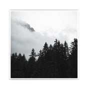 Cloudy Day