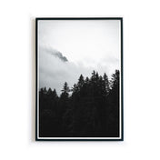 Cloudy Day