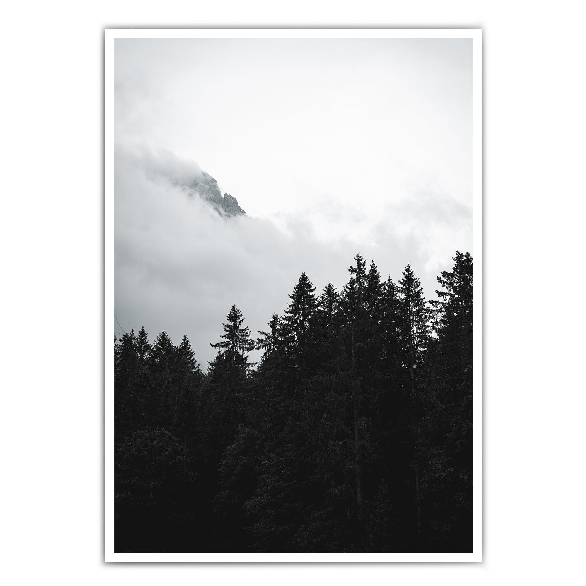Cloudy Day