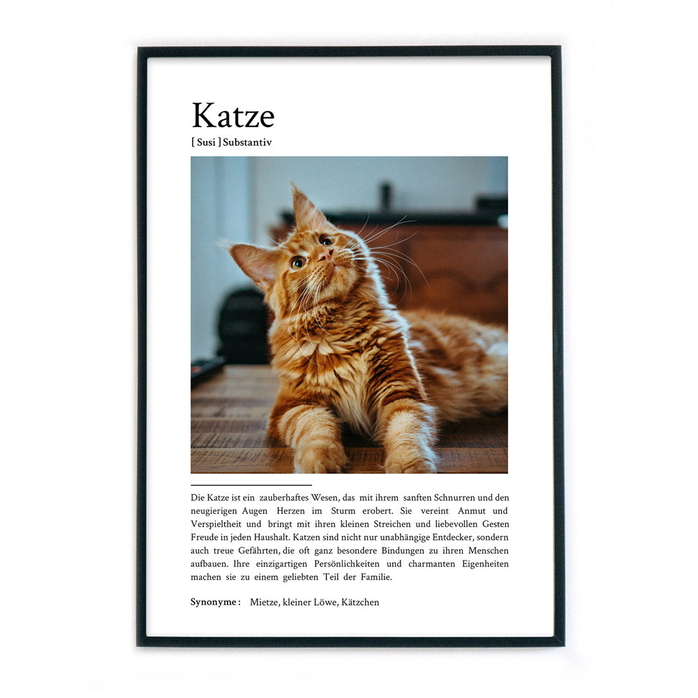 4one-Pictures-Personalisiert-geschenk-katze-haustier-andenken-definition-poster-bilderrahmen.jpg