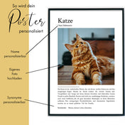 Katze Definition Poster