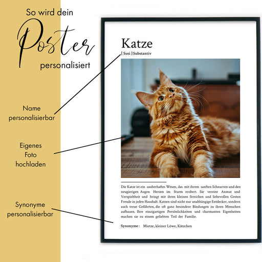 Katze Definition Poster