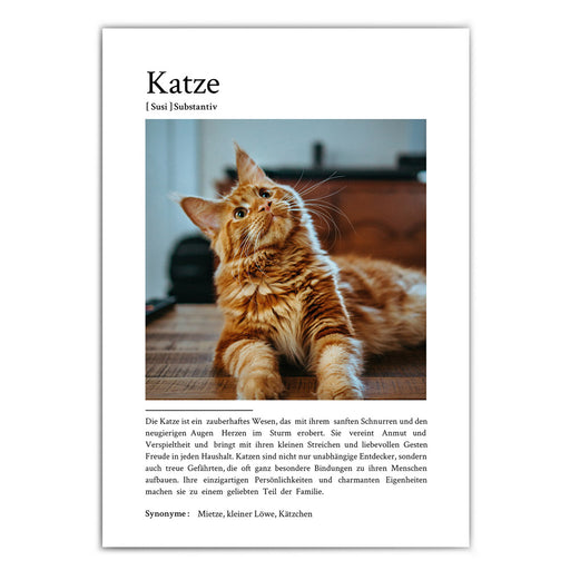 Katze Definition Poster