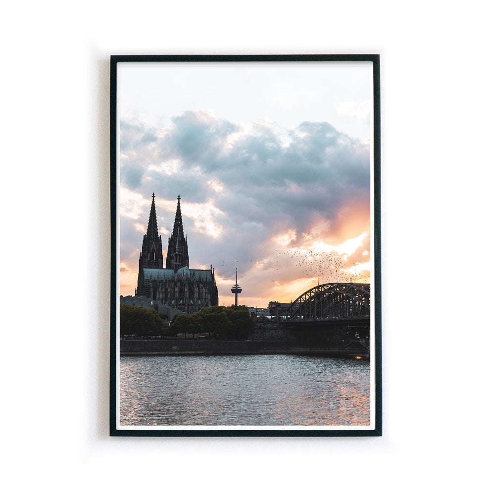 Vögel über Köln Skyline Poster