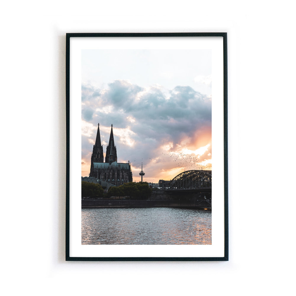 Vögel über Köln Skyline Poster