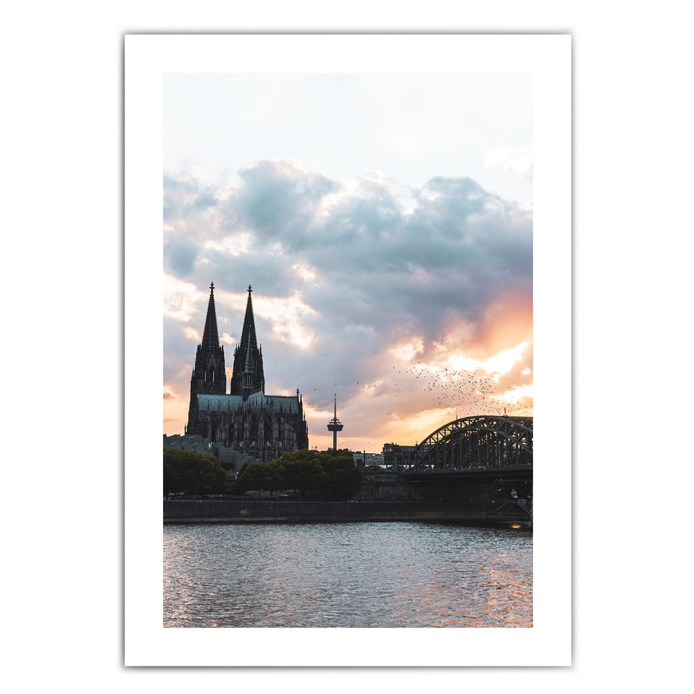 Vögel über Köln Skyline Poster