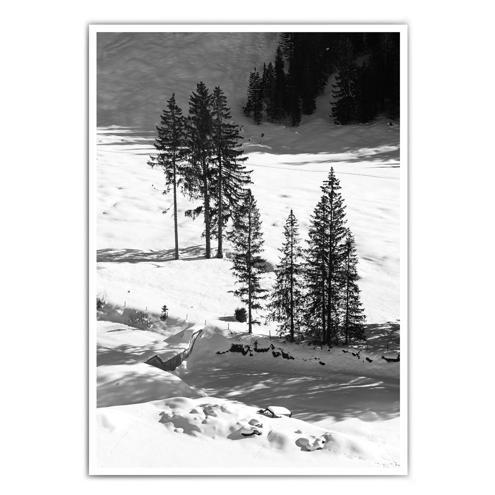 4one-pictrures-poster-natur-winter-schwarz-weiss-waelder-baeume-bilder-wanddeko-wandbild-1.jpg