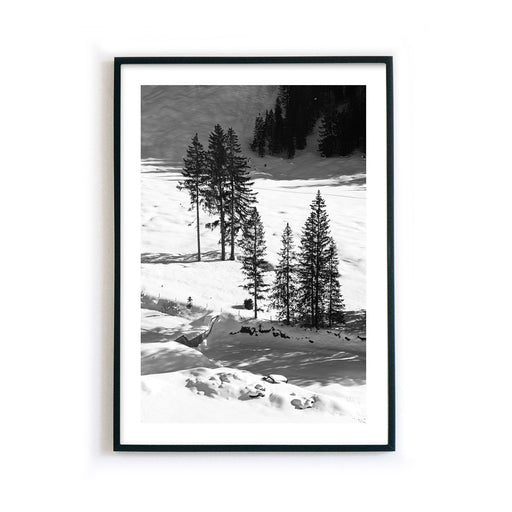 Schwarz Weiß Bäume im Schnee - Natur Bild