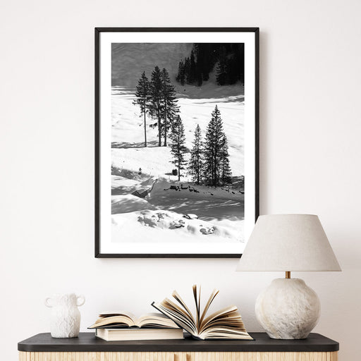 Schwarz Weiß Bäume im Schnee - Natur Bild