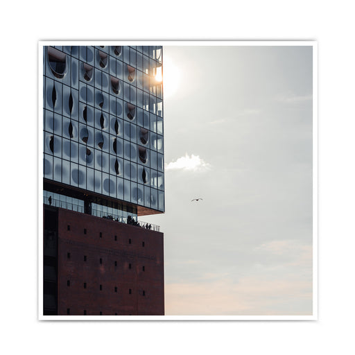Blick aus der Elbphilharmonie - Hamburg Poster