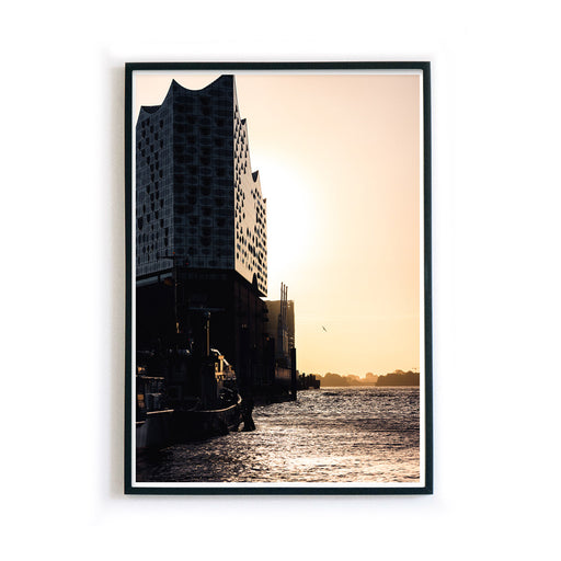Elbphilharmonie am Wasser - Hamburg Bild