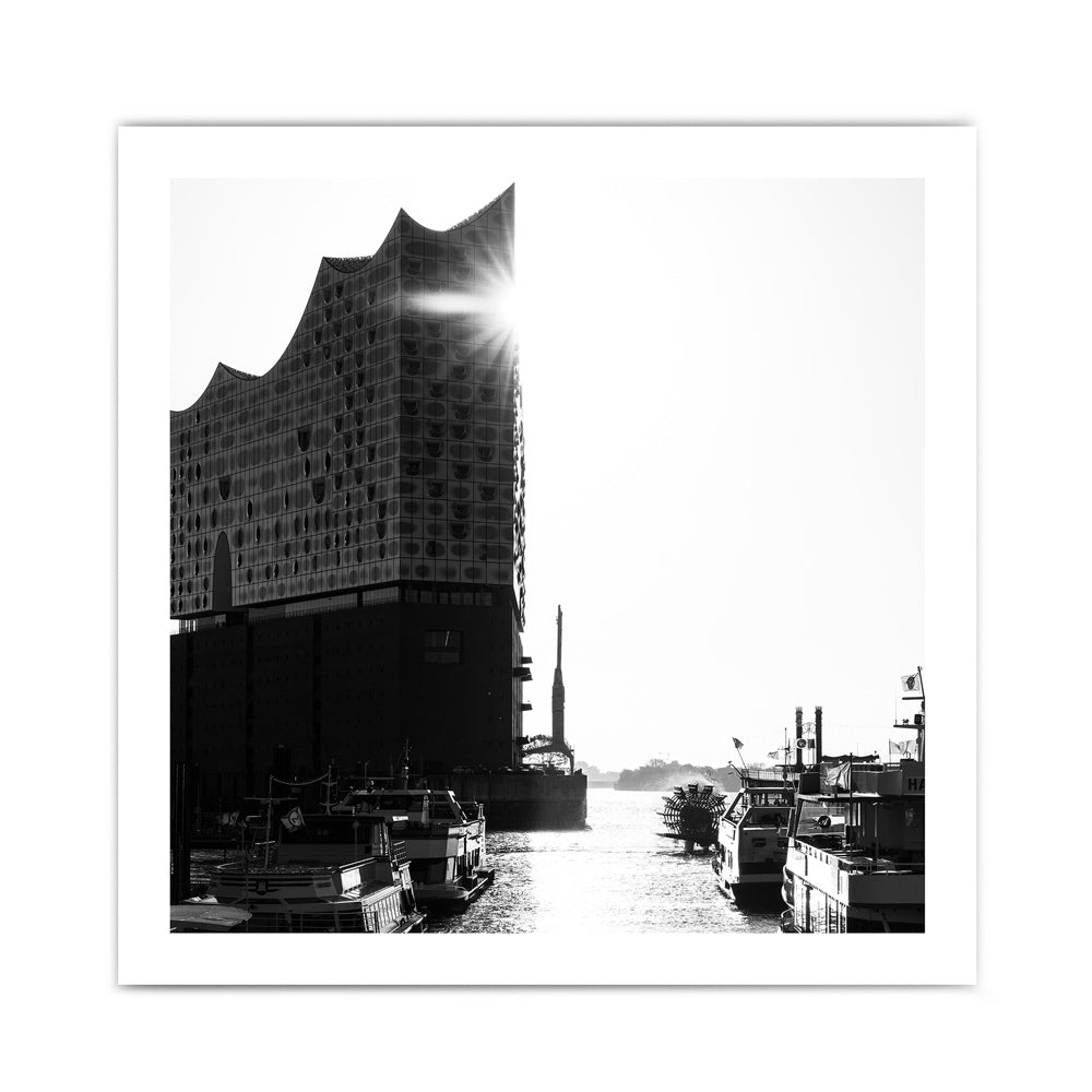 Elbphilharmonie am Wasser - Schwarz Weiß Bild