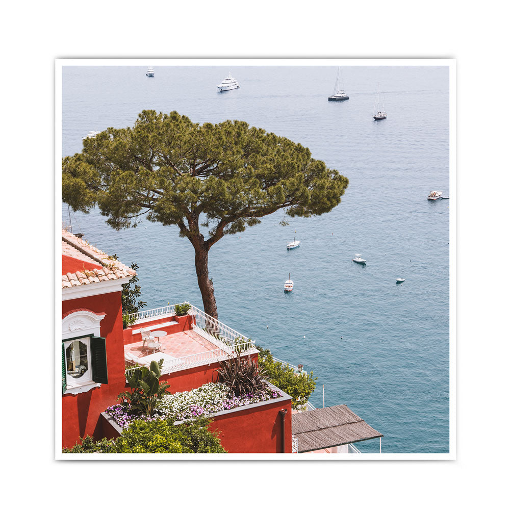 Baum am Meer  - Italien Wandbild