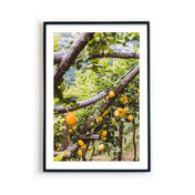 Fruit Market Amalfi - Küchenposter
