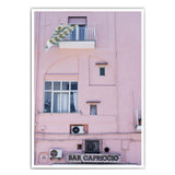 Haus in Pink Poster