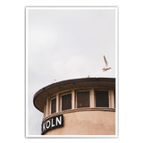 Möwe Köln Poster