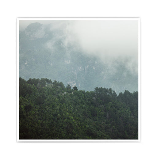 Wald & Bergkamm #1 - Natur Poster