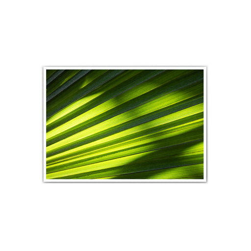 Green Shadows - Natur Poster