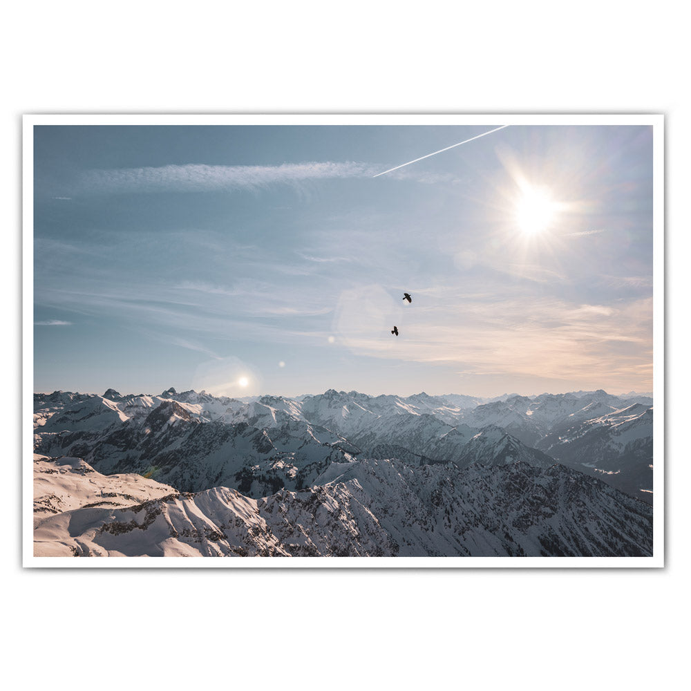 Alpen Vögel - Berg Poster