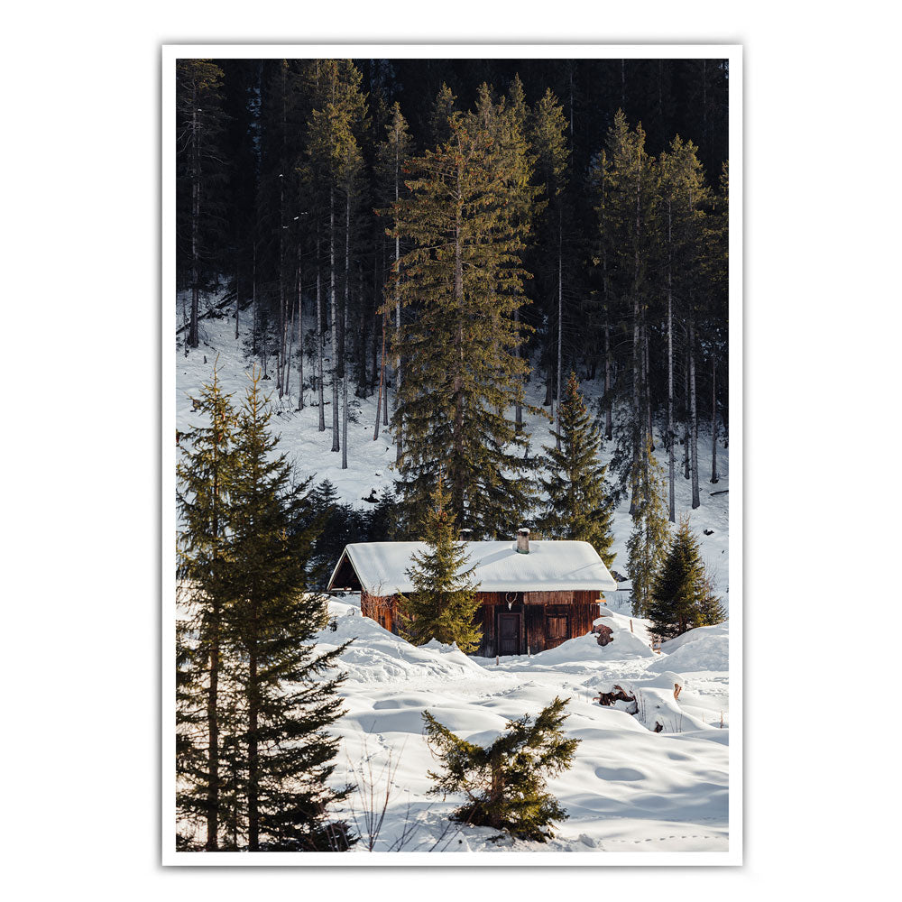 Leben am Waldrand - Winter Natur Bild