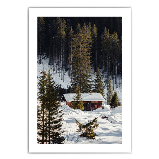 Leben am Waldrand - Winter Natur Bild