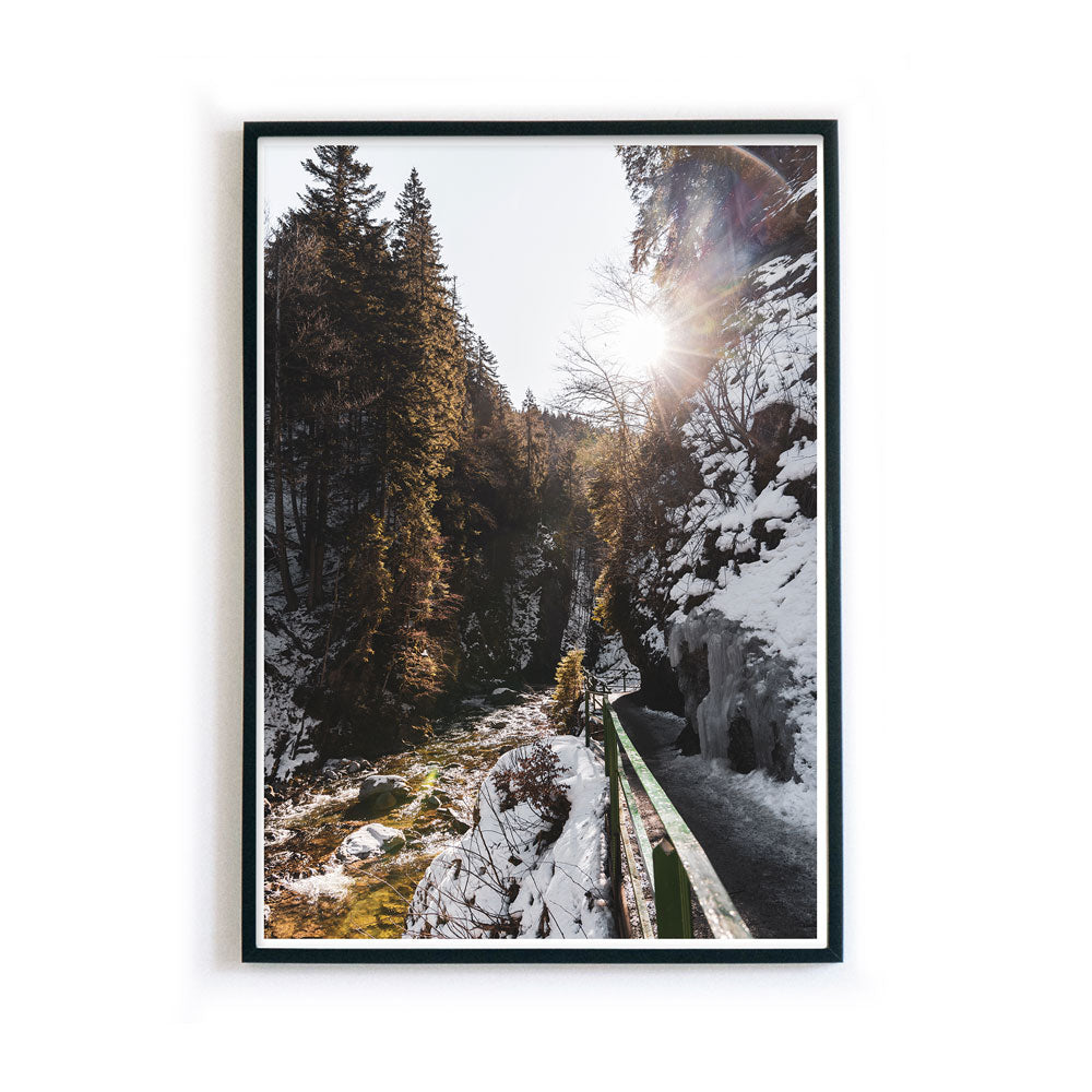 Weg am Fluss  - Natur Poster