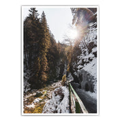 Weg am Fluss  - Natur Poster