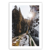 Weg am Fluss  - Natur Poster