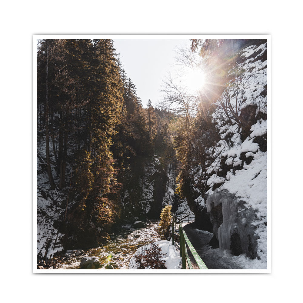 Weg am Fluss  - Natur Poster