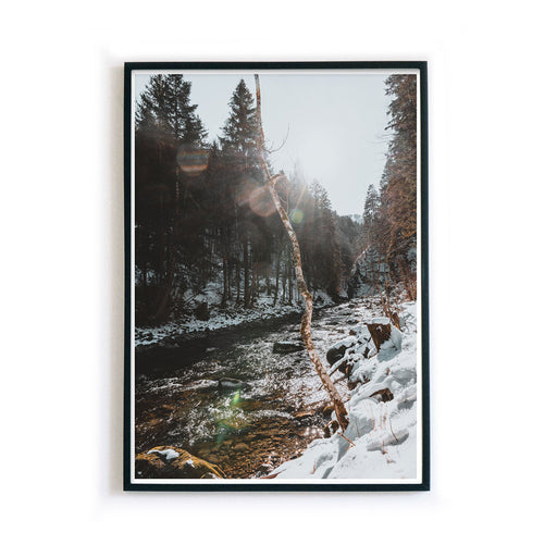 Winter in Bronze Farben - Natur Poster