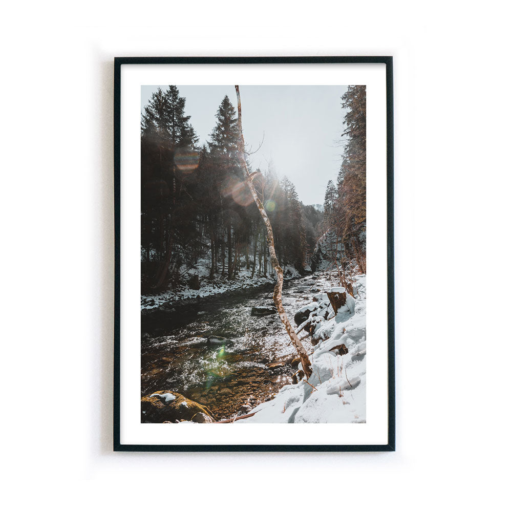 Winter in Bronze Farben - Natur Poster