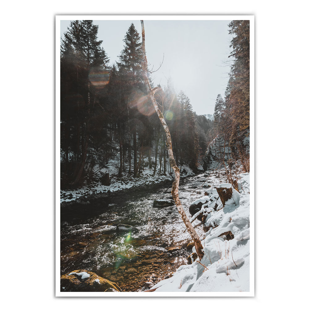 Winter in Bronze Farben - Natur Poster