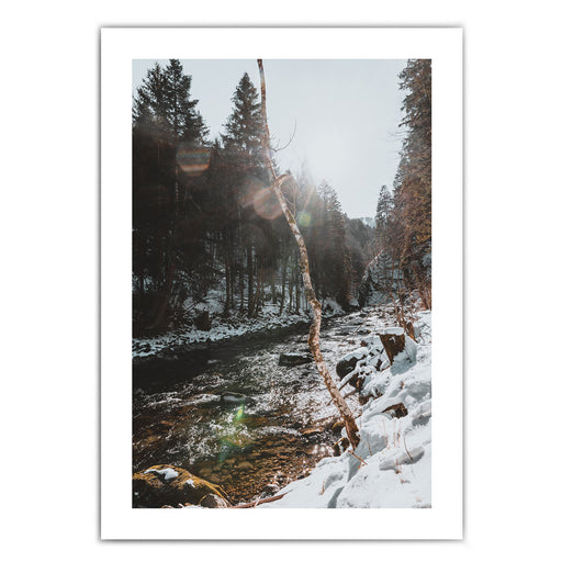 Winter in Bronze Farben - Natur Poster