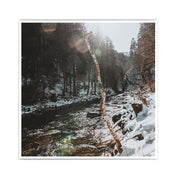 Winter in Bronze Farben - Natur Poster