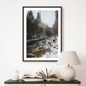 Winter in Bronze Farben - Natur Poster