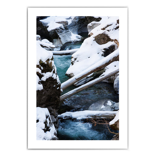 Baumstämme & Fluss - Winter Poster