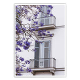 Lila Baum - Italien Bild
