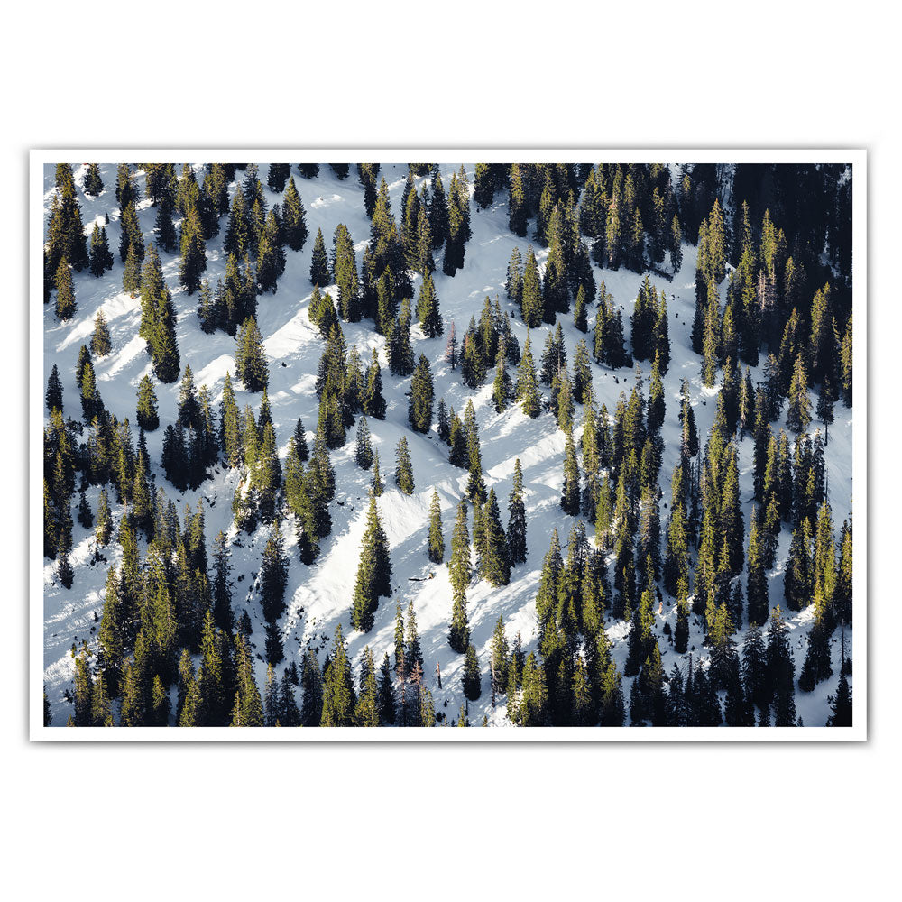 4one-pictures-poster-natur-wald-schnee-winter-wandbild-bild-deko-1.jpg