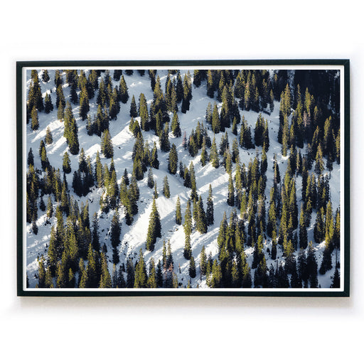 Winter Tannenbäume Quer  - Natur Poster