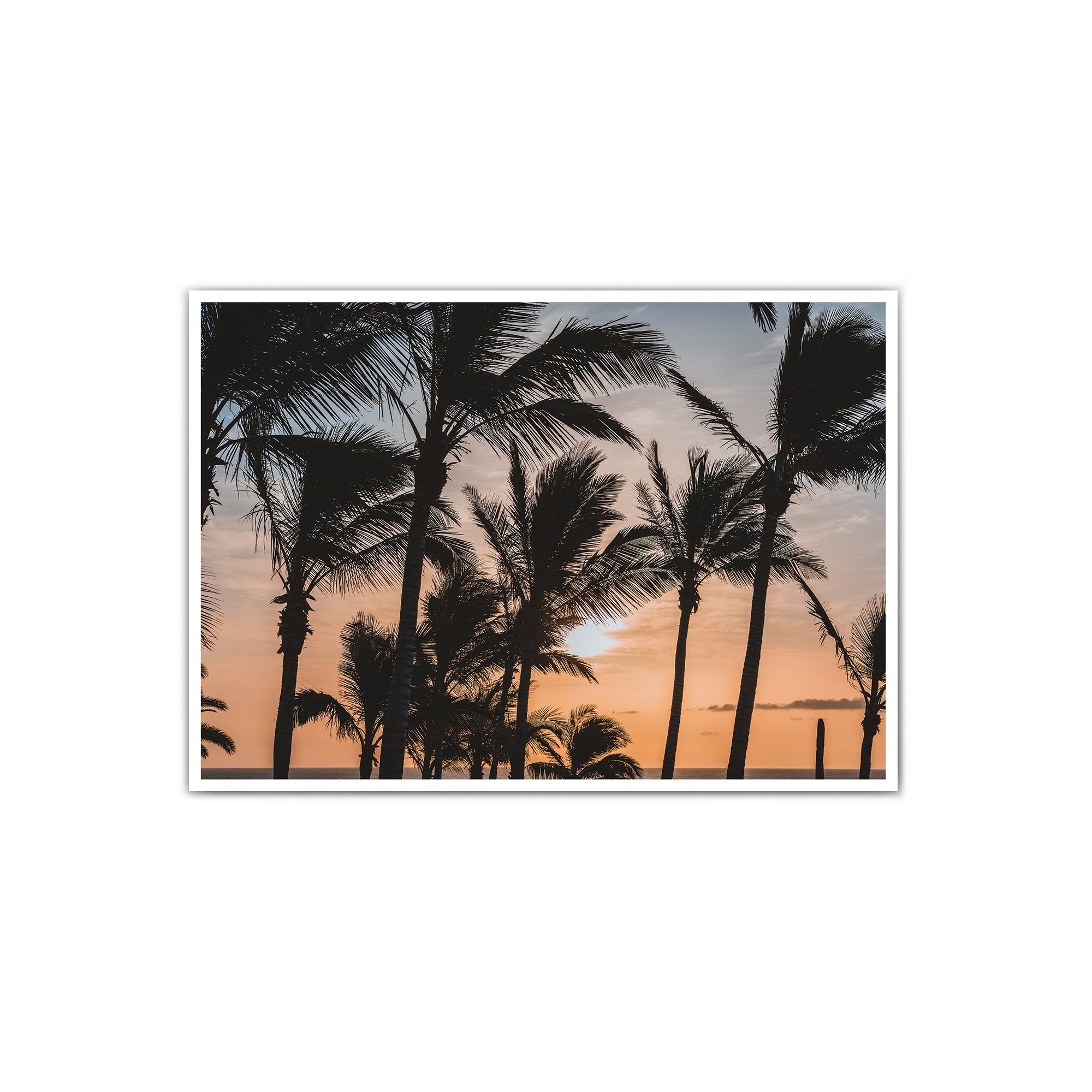 4one-pictures-poster-strand-meer-palmen-pflanzen-plants-sommer-urlaub-retro-sunset-natur-etsy-amazon.jpg