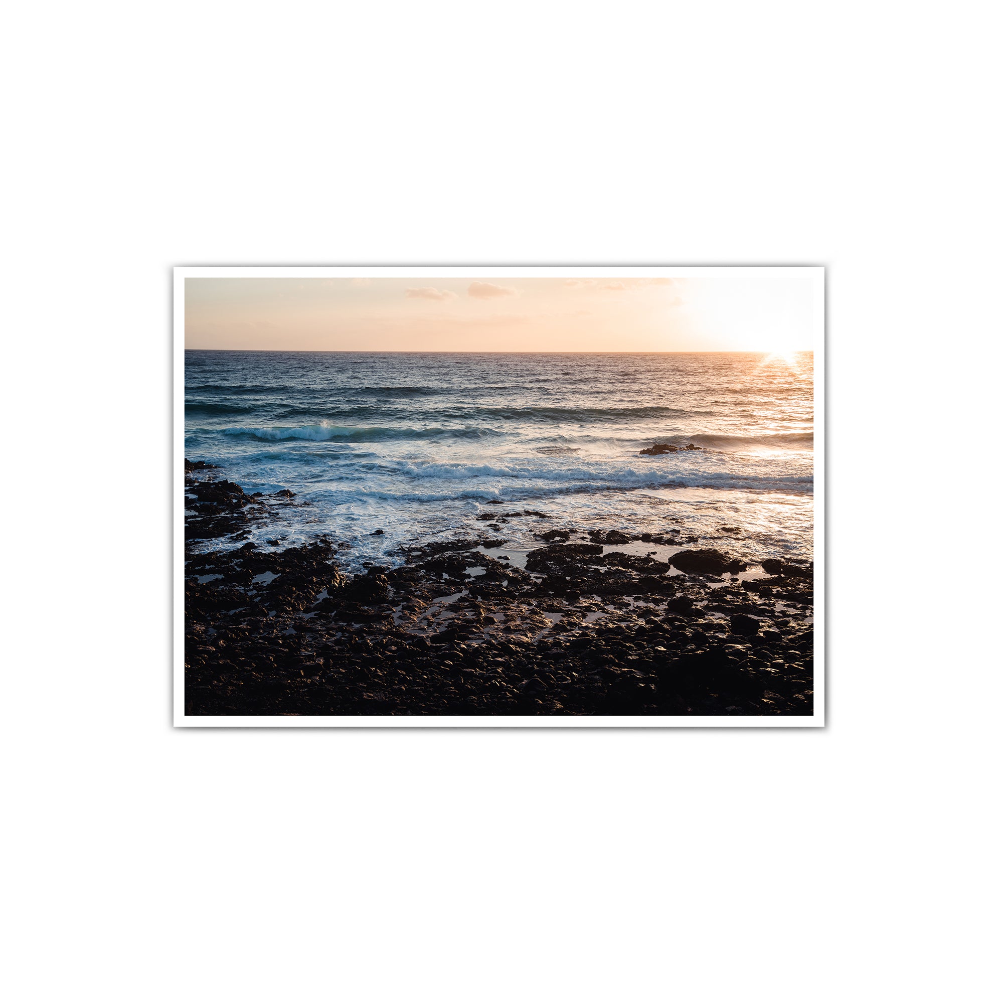 4one-pictures-poster-strand-meer-palmen-pflanzen-plants-sommer-urlaub-retro-sunset-natur-print-amazon-etsy.jpg