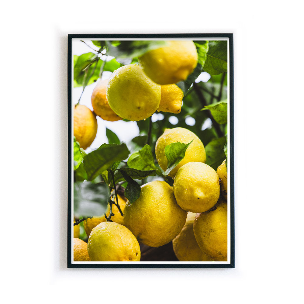 4one-pictures-poster-zitronen-food-obst-gelb-bild-amalfi-lemon-kueche-bilderrahmen-1_a127d01e-29df-44e2-b402-06de2816a47d.jpg
