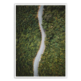 Waldstraße von Oben - Natur Poster