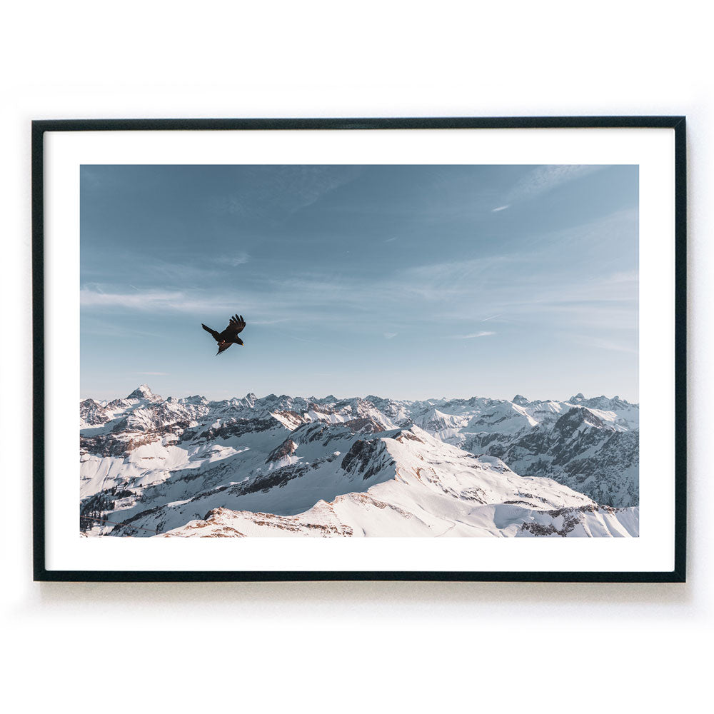 Winter Berg Bird - Natur Poster