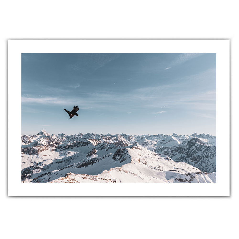 Winter Berg Bird - Natur Poster
