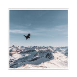 Winter Berg Bird - Natur Poster