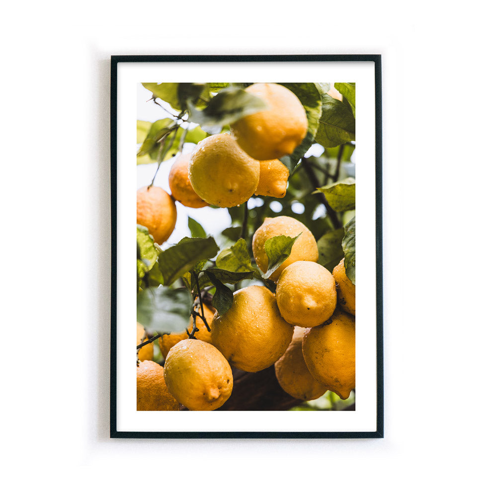 Orangen aus Italien - Küchenposter