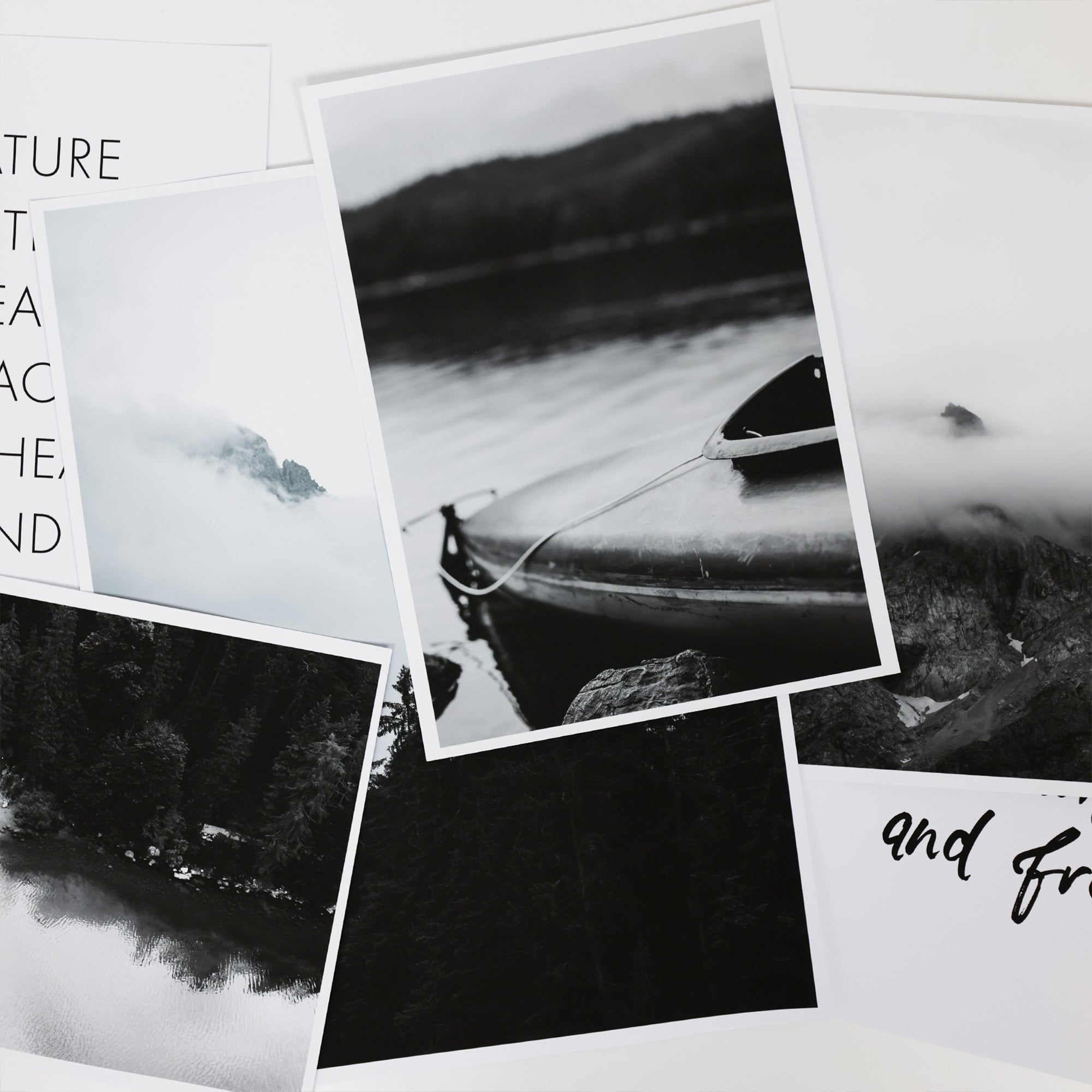 Wild & free - Natur Bilder