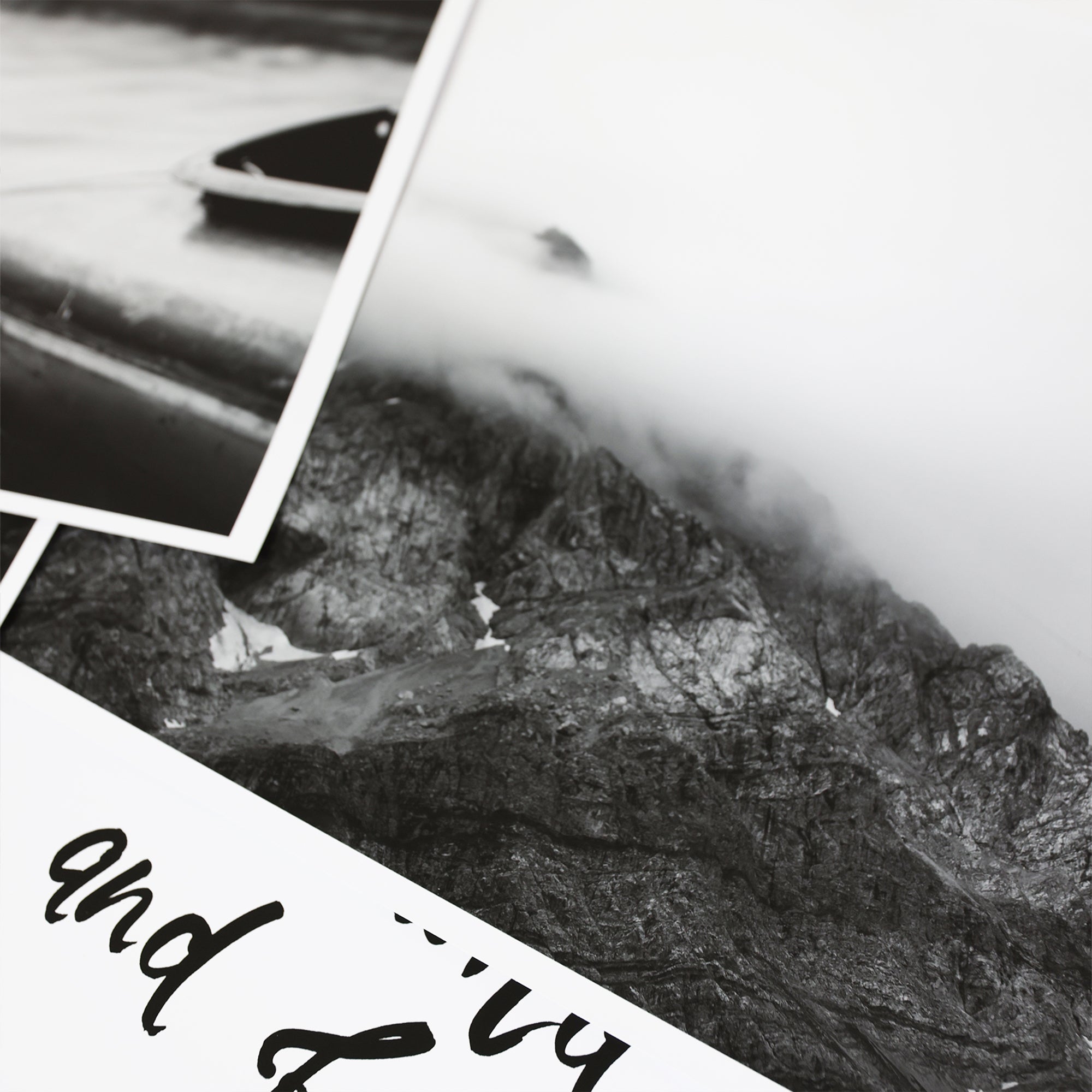 Wild & free - Natur Bilder